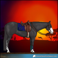 Horse Color:Smoky Black Sabino 