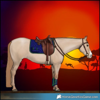 Horse Color:Grullo Pearl Sabino 