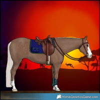 Horse Color:Silver Black 