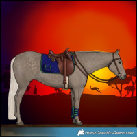 Horse Color:Silver Smoky Black 