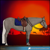 Horse Color:Silver Smoky Black