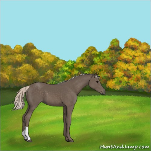 Horse Color:Silver Black 