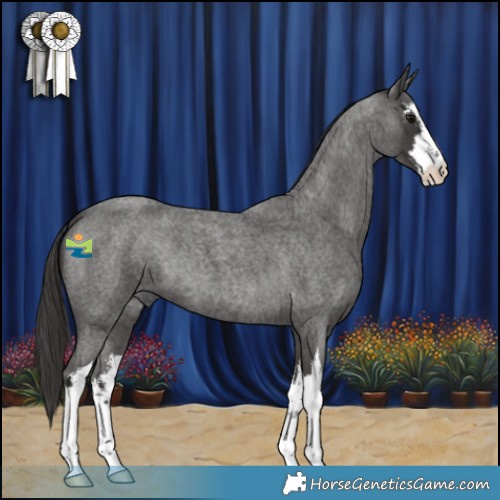 Horse Color:White Spotted Smoky Blue Roan 