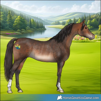 Horse Color:Bay Rabicano 