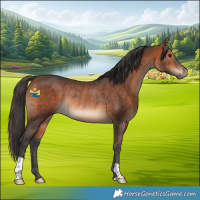 Horse Color:Bay Rabicano 