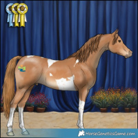 Horse Color:Chestnut Tobiano 