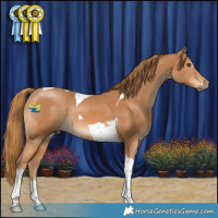 Horse Color:Chestnut Tobiano