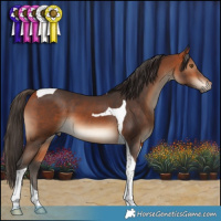Horse Color:Bay Tobiano 