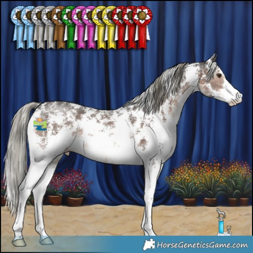 Horse Color:Liver Chestnut Mushroom Sabino 