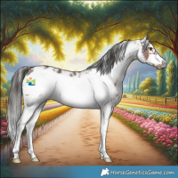 Horse Color:Liver Chestnut Sabino Frame 