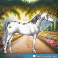 Horse Color:Liver Chestnut Sabino Frame 