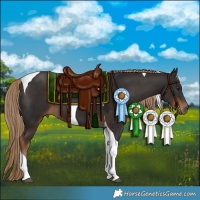 Horse Color:Liver Chestnut Tobiano 