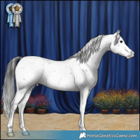 Horse Color:Black Sabino 