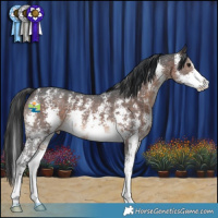 Horse Color:Brown Mushroom Sabino 