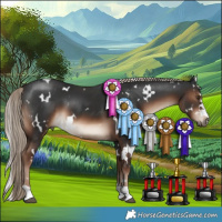 Horse Color:White Spotted Liver Chestnut 