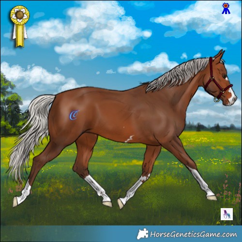 Horse Color:Silver Brown 