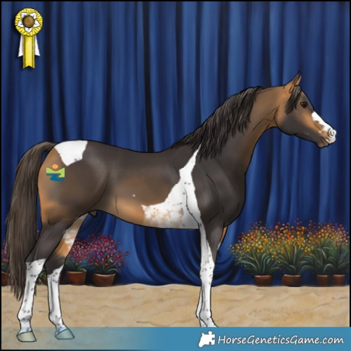 Horse Color:Buckskin Tobiano 