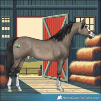 Horse Color:Brown Dun 