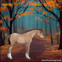 Horse Color:Black Pearl