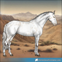 Horse Color:Gray Silver Brown Pearl Dun Sabino Tobiano Appaloosa 