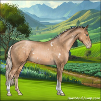 Horse Color:White Spotted Chocolate Palomino Pearl Tobiano