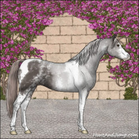 Horse Color:Platinum White Spotted Liver Chestnut Tobiano 