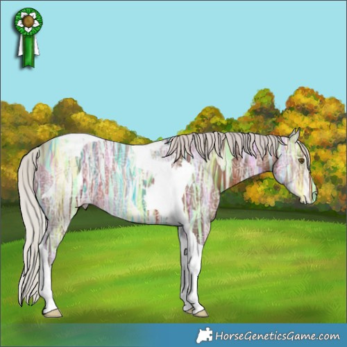 Horse Color:Silver Brown Ice Tobiano 