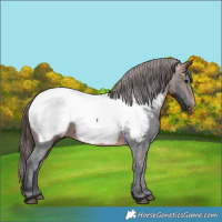 Horse Color:Bay Near Fewspot 