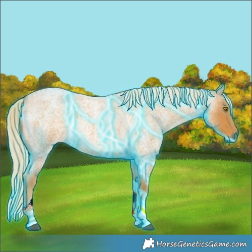 Horse Color:Thunderstruck Palomino Roan Tobiano 