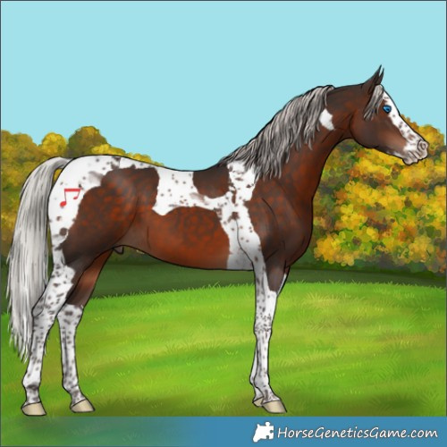 Horse Color:Silver Brown Splash Tobiano 