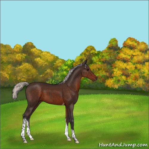 Horse Color:Silver Brown Tobiano 