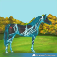 Horse Color:Thunderstruck Brown Tobiano Rabicano 