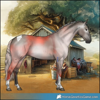 Horse Color:Gray Silver Grullo Tobiano