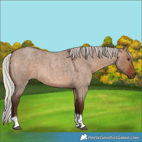 Horse Color:Silver Brown Roan Dun Tobiano 