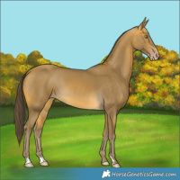 Horse Color:Sable Cream Champagne 