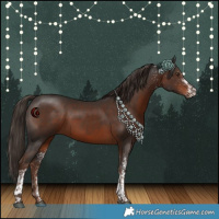 Horse Color:White Spotted Liver Chestnut Tobiano 