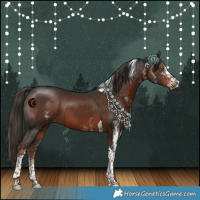 Horse Color:White Spotted Liver Chestnut Tobiano 