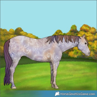 Horse Color:Black Ice Pearl 