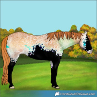 Horse Color:White Spotted Red Onyx Ice
