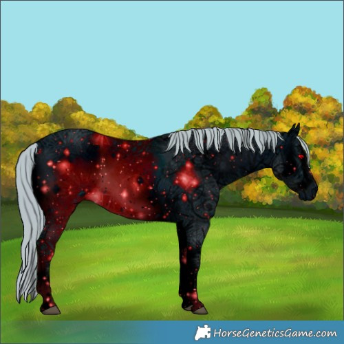 Horse Color:ERROR: UNKNOWN ANOMALY