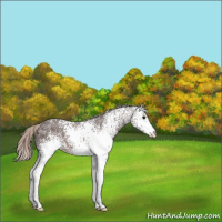 Horse Color:White Spotted Silver Brown Ice