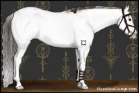 Horse Color:Grullo Sabino Splash  and Classic Champagne Dun Sabino Splash 