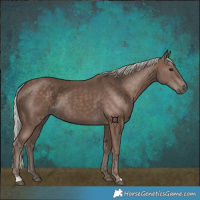 Horse Color:Silver Black 