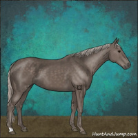 Horse Color:Silver Black 