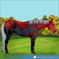 Horse Color:ERROR: UNKNOWN ANOMALY