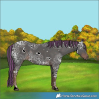 Horse Color:Painted White Spotted Liver Chestnut Ice 