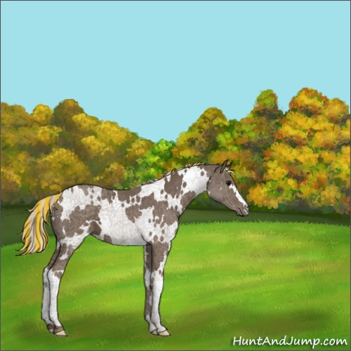 Horse Color:Painted White Spotted Silver Black