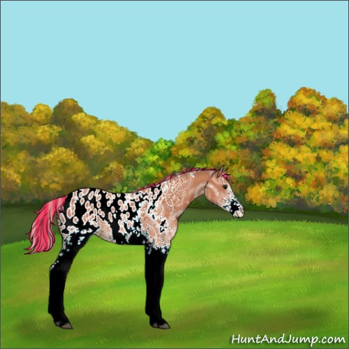 Horse Color:Painted White Spotted Silver Bay Ice Appaloosa 