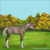 Horse Color:Painted Plaid Chestnut Ice