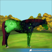 Horse Color:ERROR: UNKNOWN ANOMALY